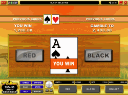 Gamble Bonus feature
