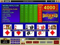 Deuces Wild - video poker