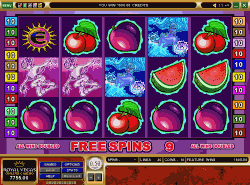 Free spins bonus feature screen