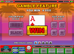 Gamble bonus feature