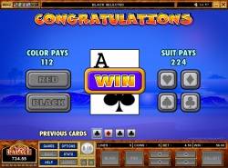 Spring Break - Gamble bonus feature