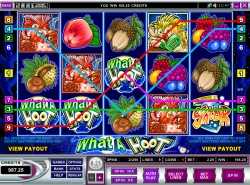 What a hoot slot - 5 reel 9 line slot