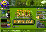 Kiwi Casino